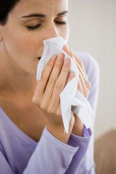 Chemdry central sydney: Carpet cleaning