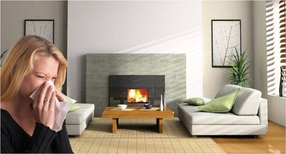 Chemdry central sydney: Carpet cleaning