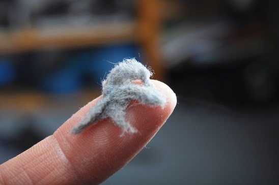 Chemdry central sydney: Carpet cleaning