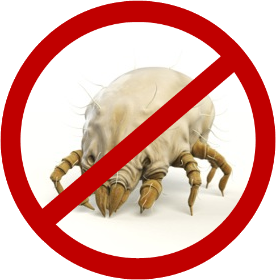 Chemdry central sydney: Carpet cleaning